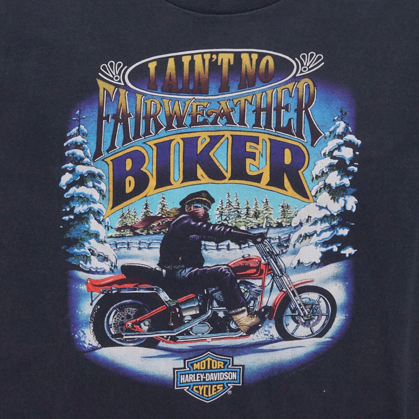 1980s Harley Davidson "Fairweather" Size: S