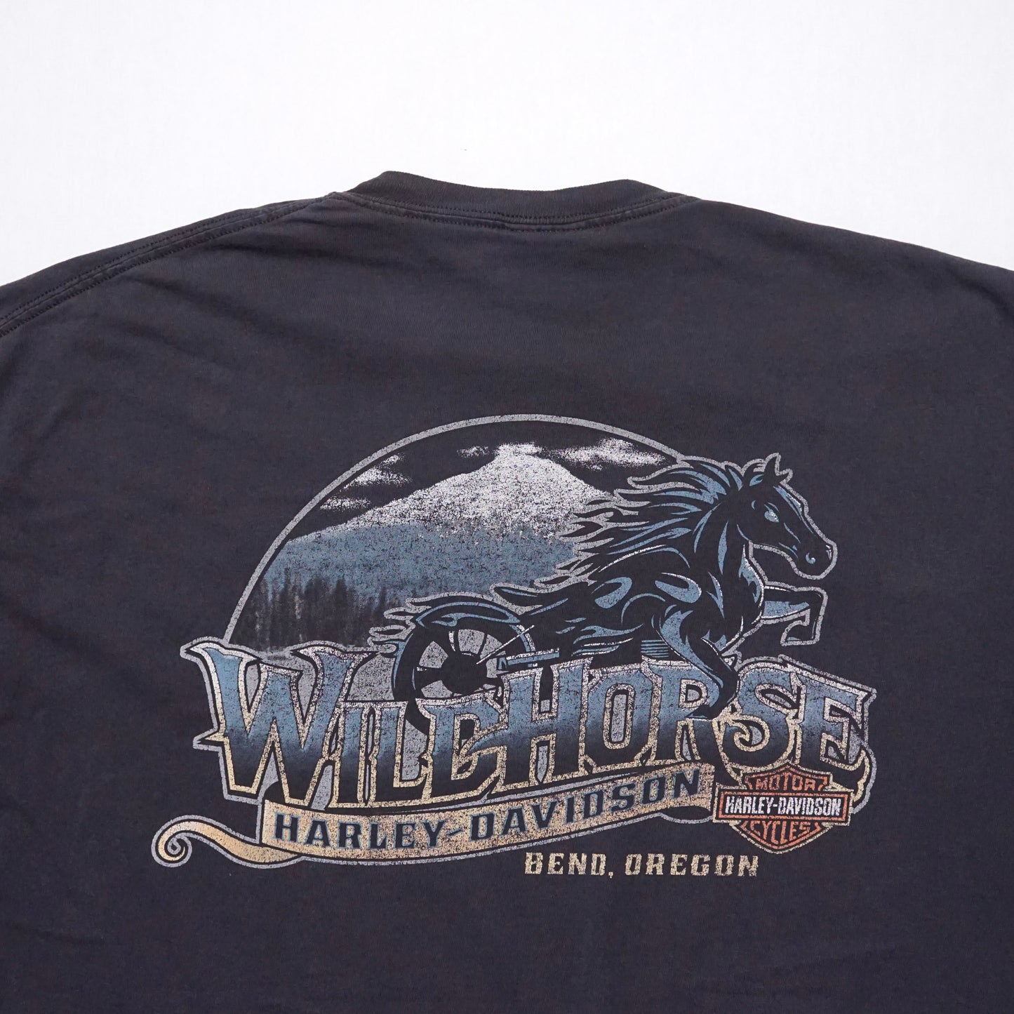 2000s Harley Davidson "Bend" Size: XXL