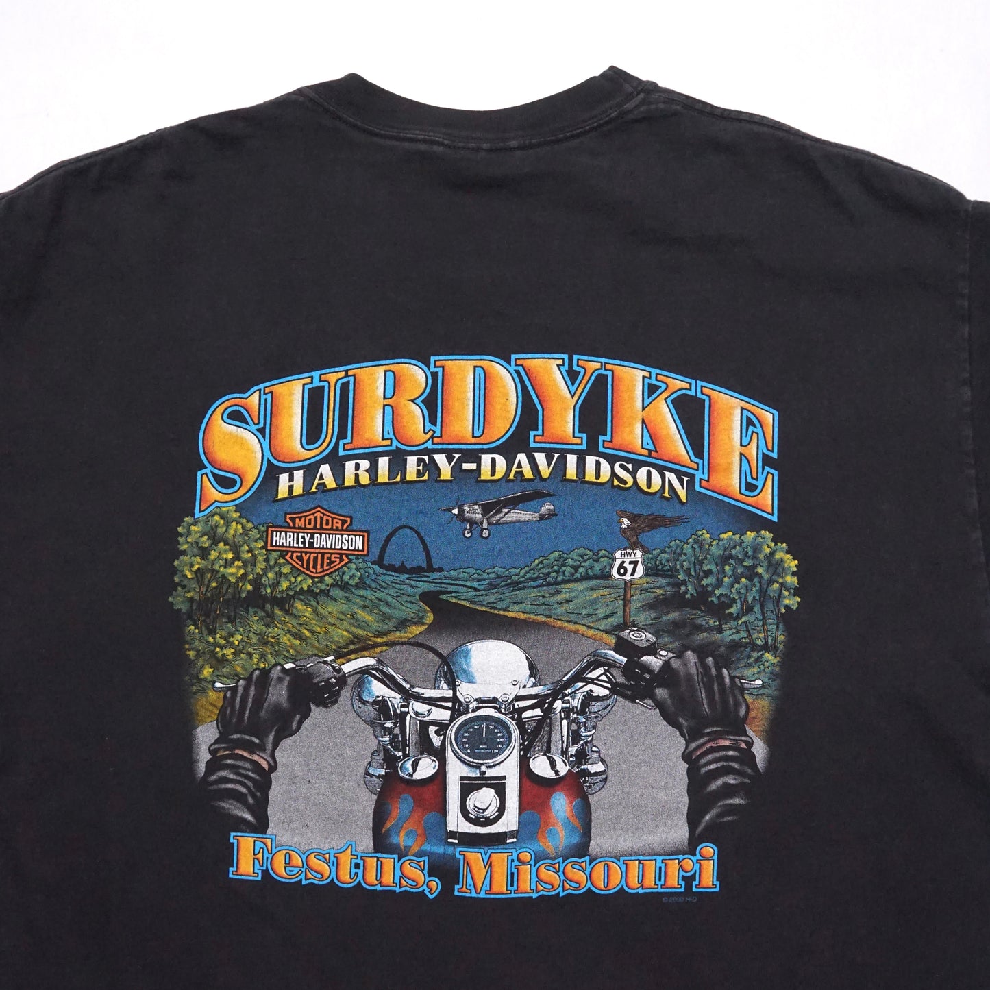 2000s Harley Davidson "Surdyke" Size: XL