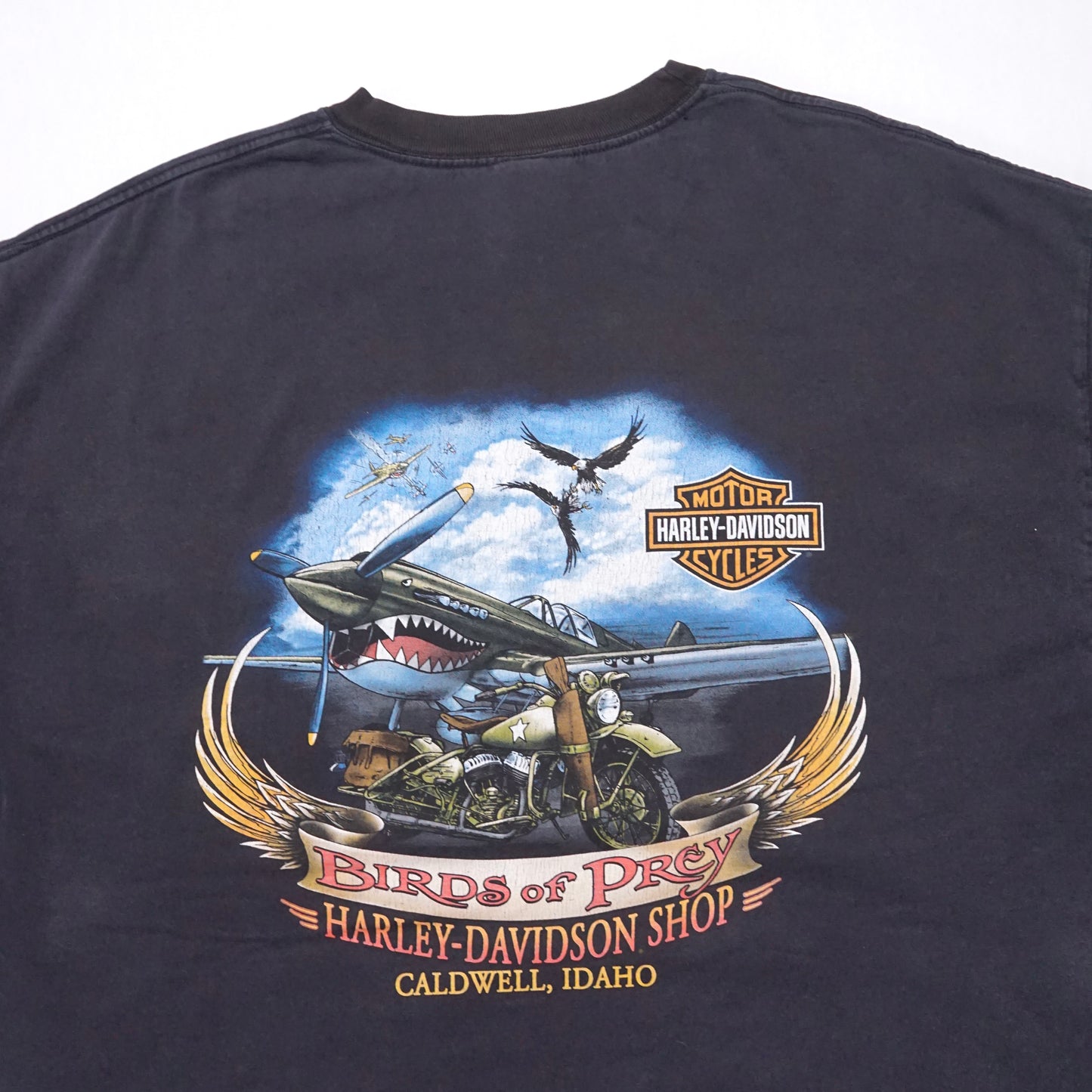 2000s Harley Davidson "Idaho" Size: XXL