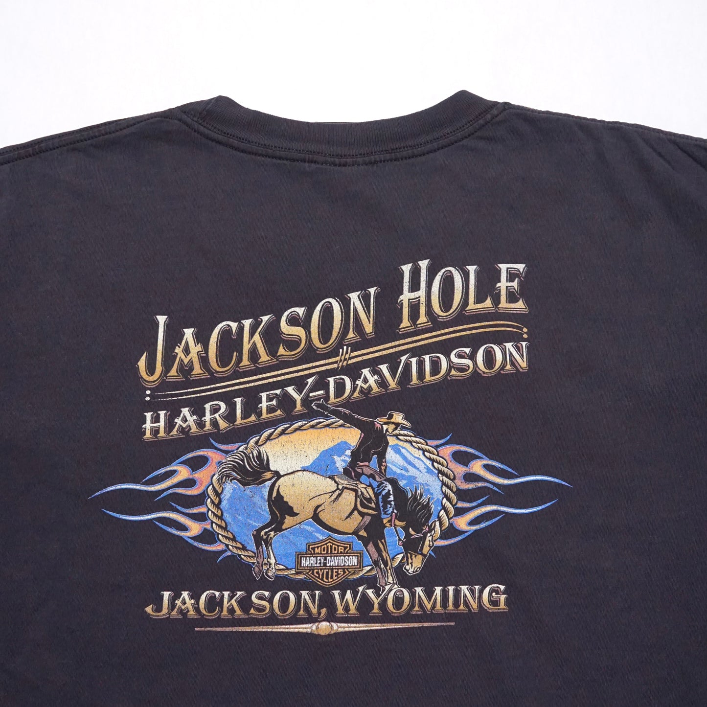 2000s Harley Davidson "Wyoming" Size: XXL