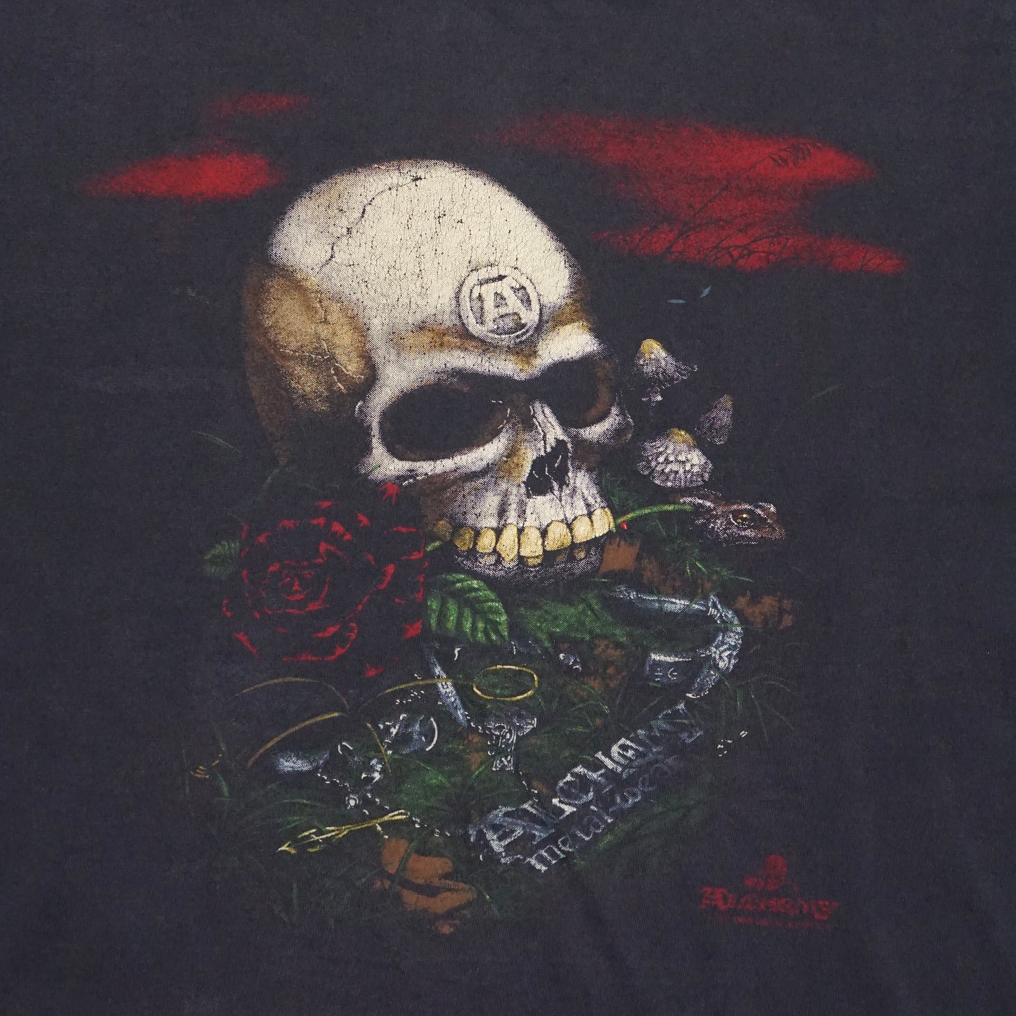 1990s Alchemy "Faded" Size: M/L